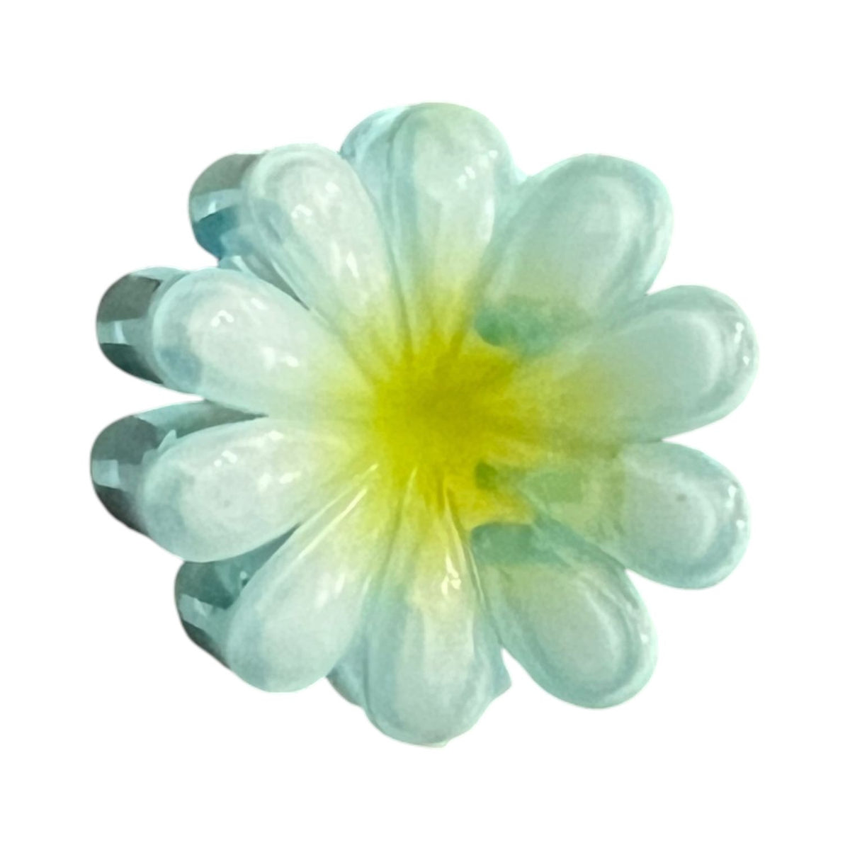 Glossy Gradient Flower Hair Clips for Girls – Pack of 6